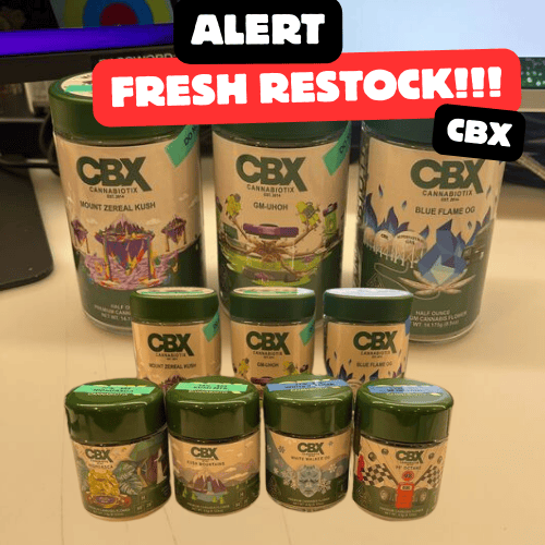 THEDRIPPER BOX DAMNGOOD!! × NATURE TONES CAFEC FLOWER DRIPPER DEEP 45 (Clear) | 3-7 Cups Deep 45